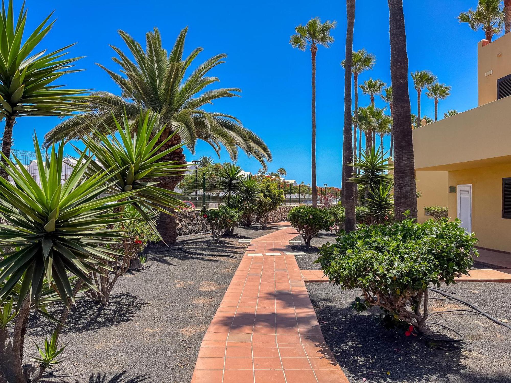Apartamentos Oasis Royal Corralejo F314 Экстерьер фото