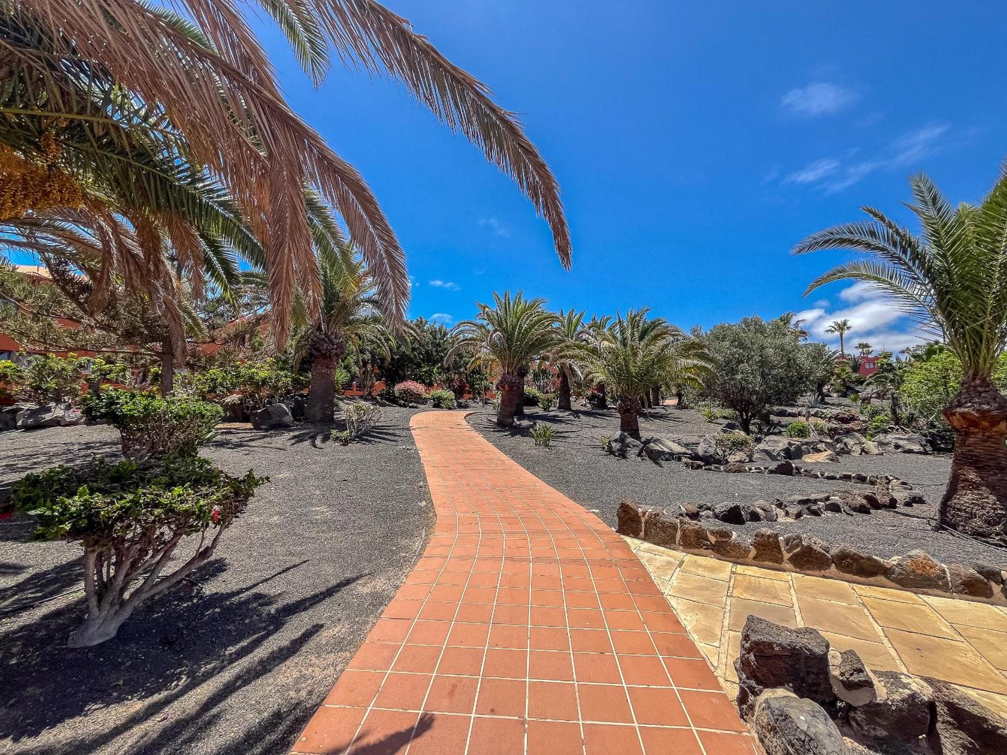 Apartamentos Oasis Royal Corralejo F314 Экстерьер фото